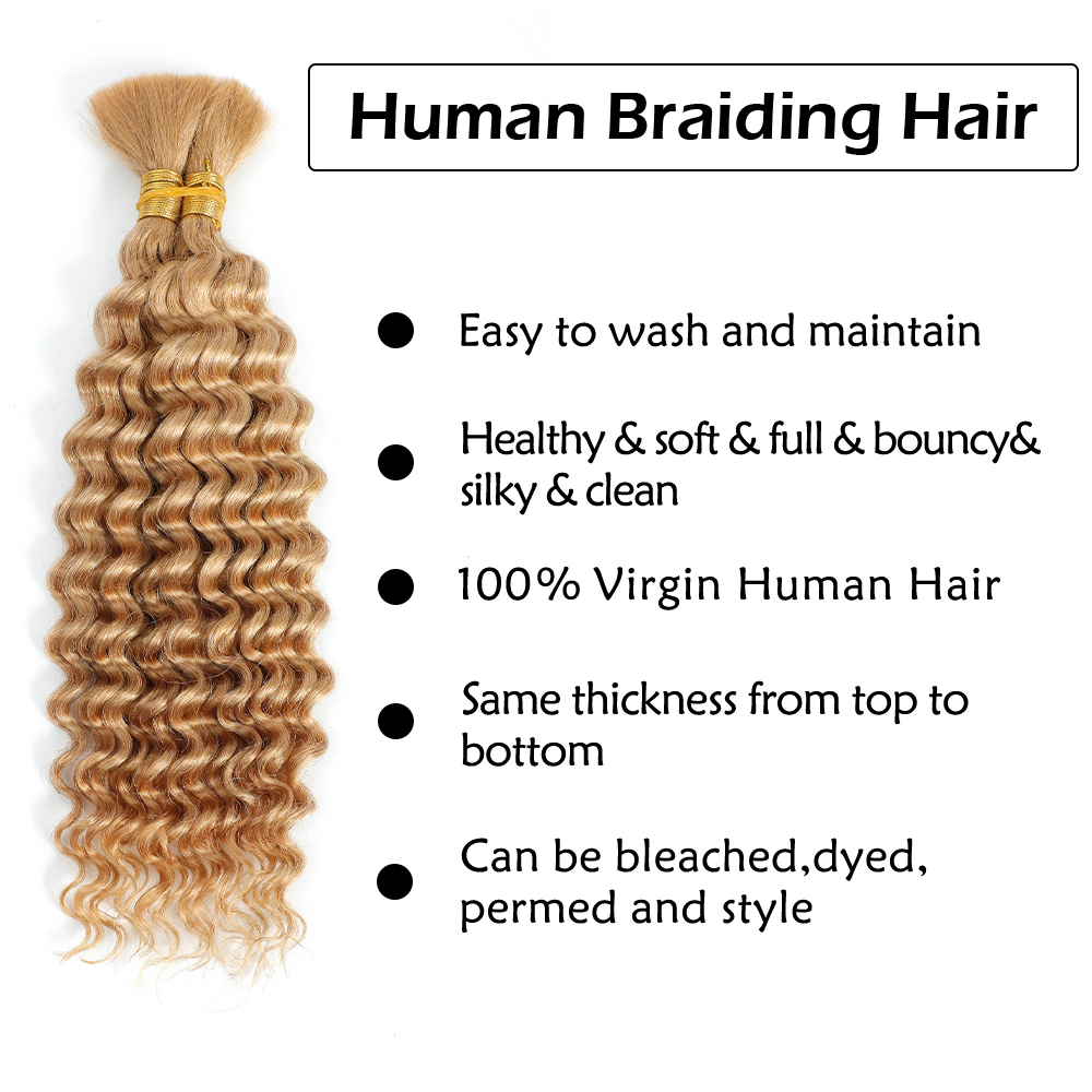 Human Braiding Hair 2Bundle 10 - đánh giá và giá Hair Care Color